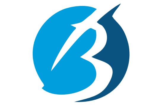 Betvil Global Resources Limited